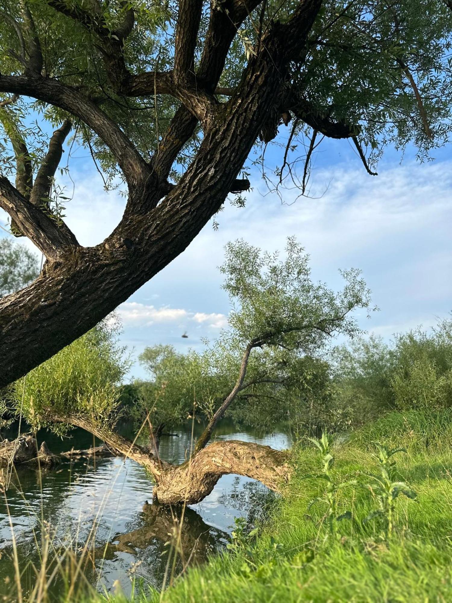 Počitniška hiša Kuca Za Odmor Zora