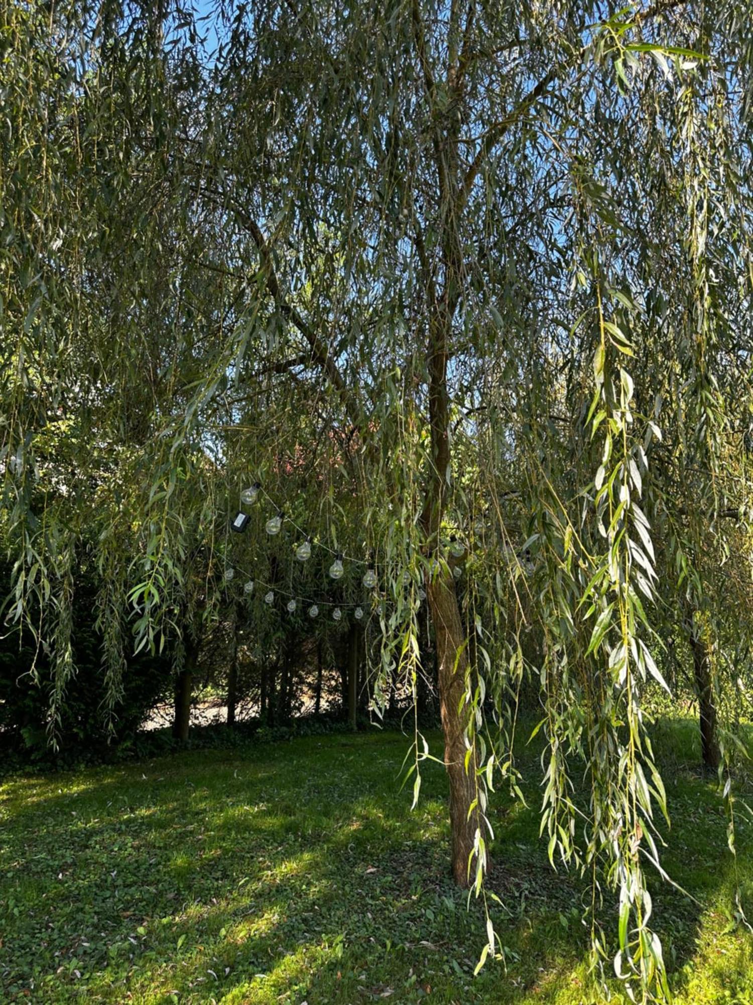 Kuca Za Odmor Zora *